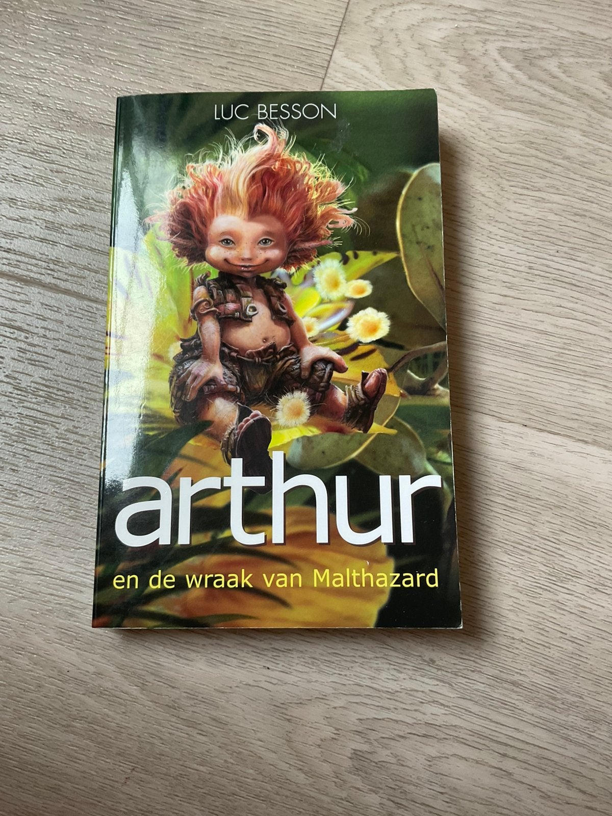 Arthur et les Minimoys, La revanche de Malthazard, Enlèvement ou Envoi, Utilisé, Fiction