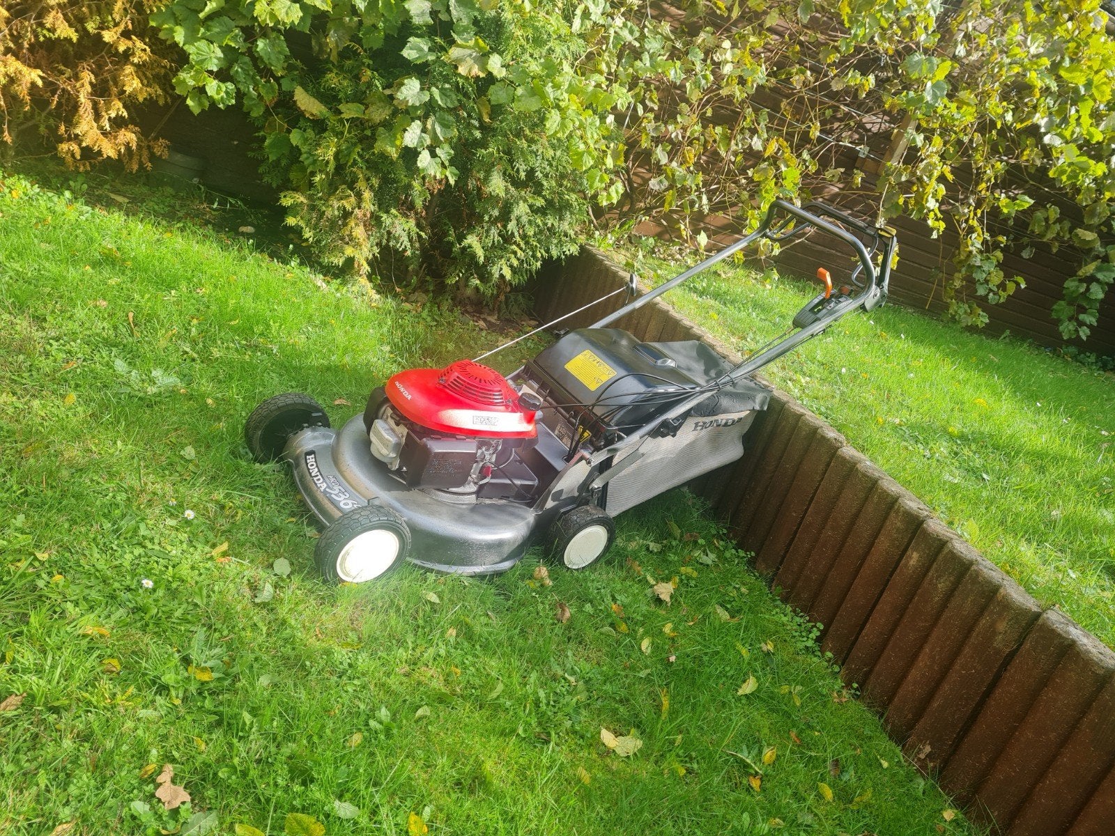Tondeuse à gazon professionnelle HONDA HRD 536, Jardin & Terrasse, Enlèvement ou Envoi, Utilisé