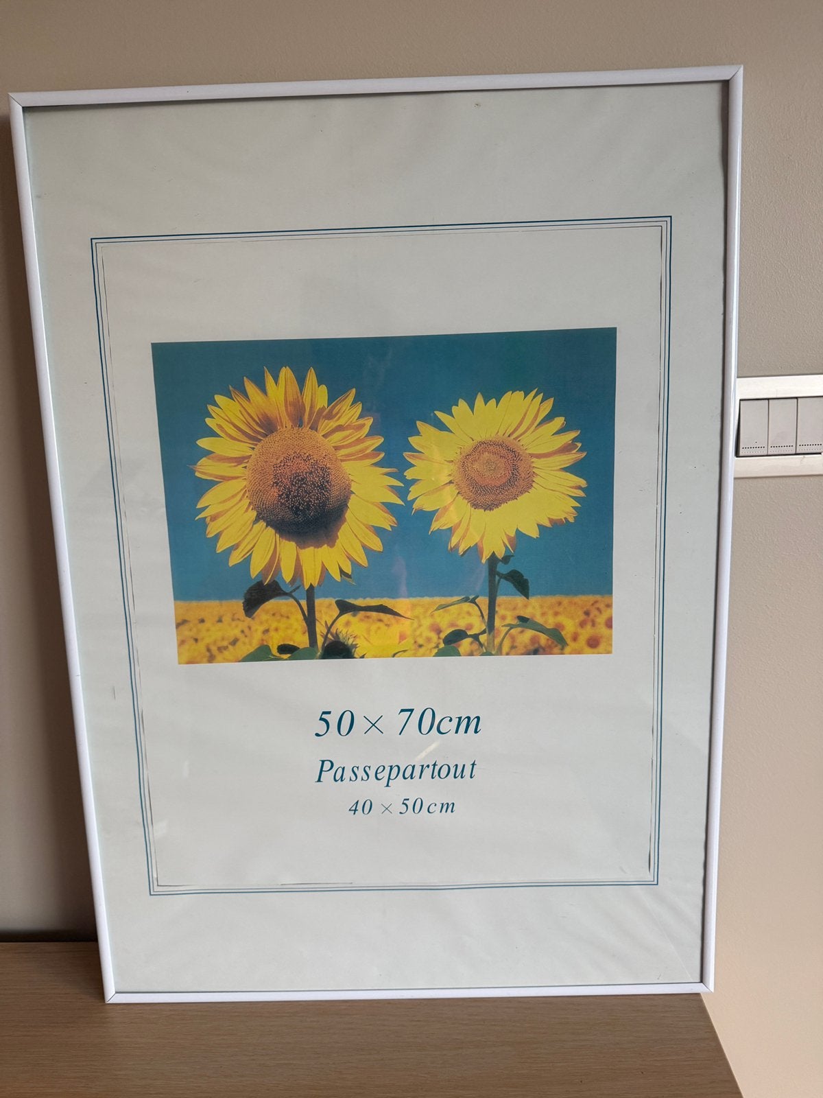Grote witte plastic kader met passe-partout 50 x 70 cm, Ophalen, Met passe-partout