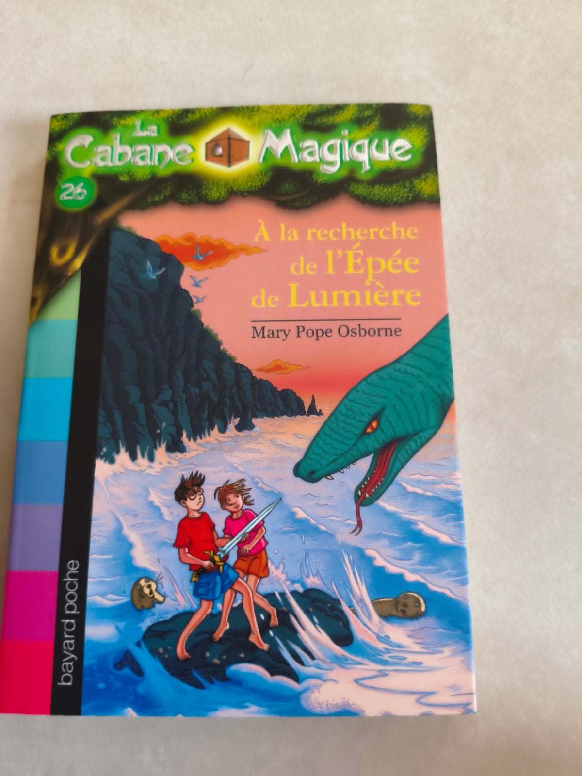 livre Cabane magique, Livres, Enlèvement, Comme neuf