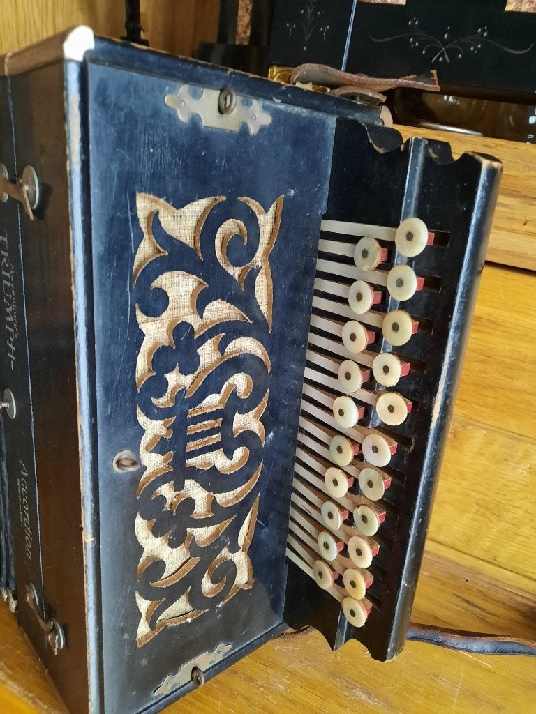 oude accordeon, Musique & Instruments, Enlèvement