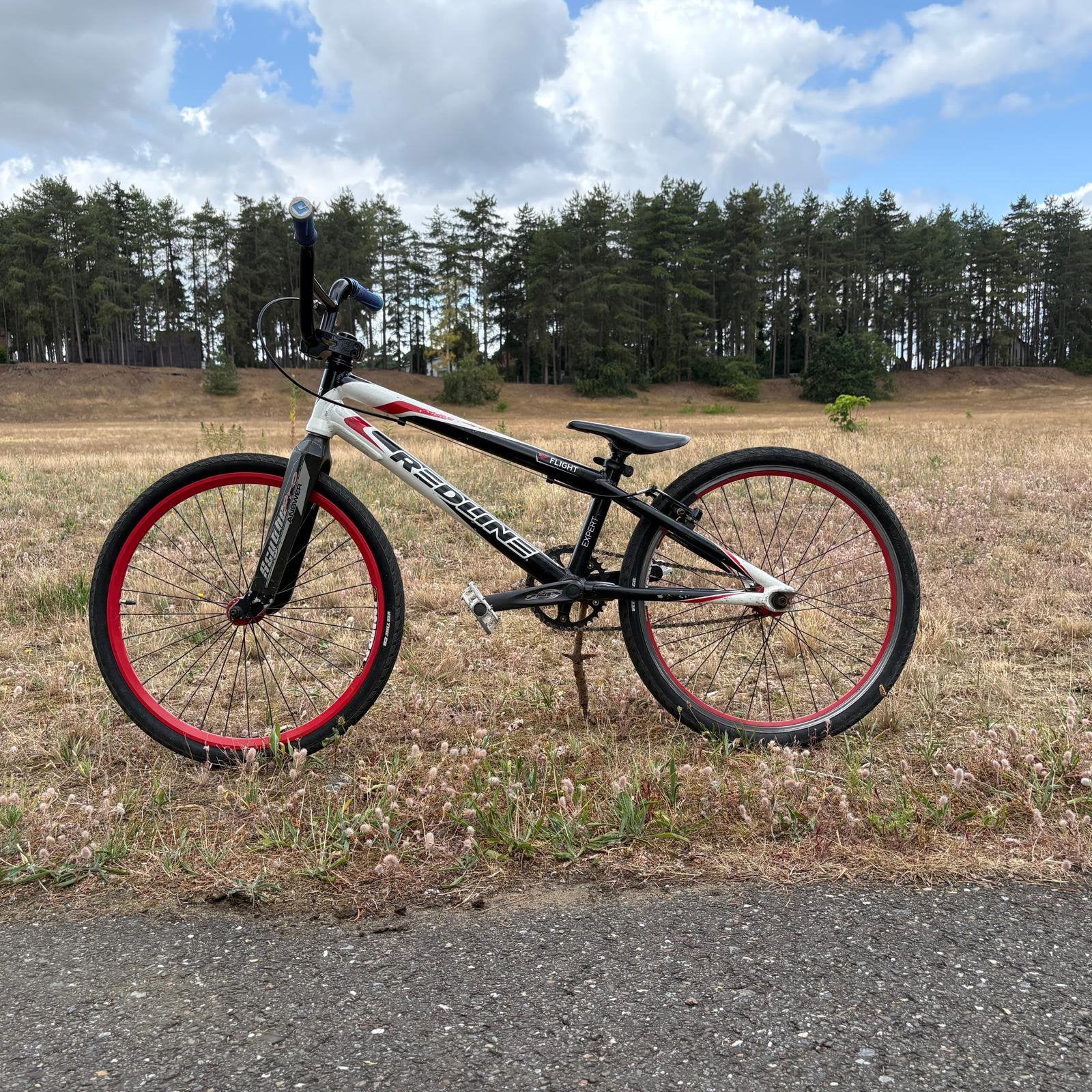 BMX Redline Flight, Vélos & Vélomoteurs, Vélos | BMX & Freestyle, Utilisé, 24 pouces ou plus, Aluminium, Frein sur jante, Enlèvement