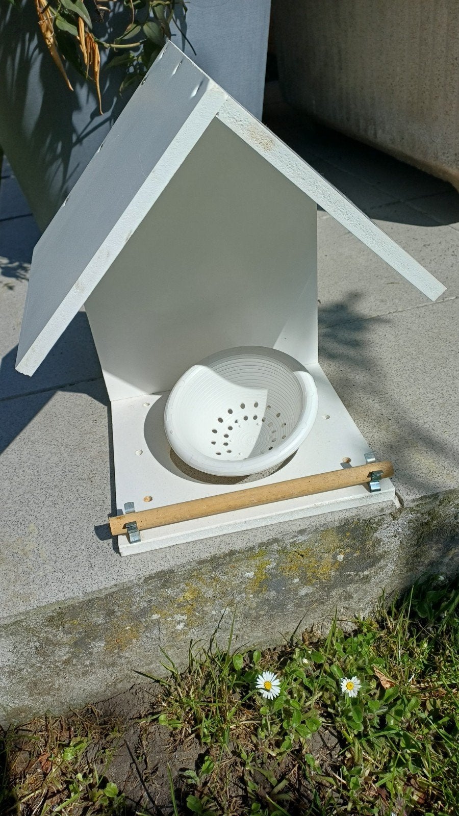 nids pour oiseaux, Dieren en Toebehoren, Ophalen