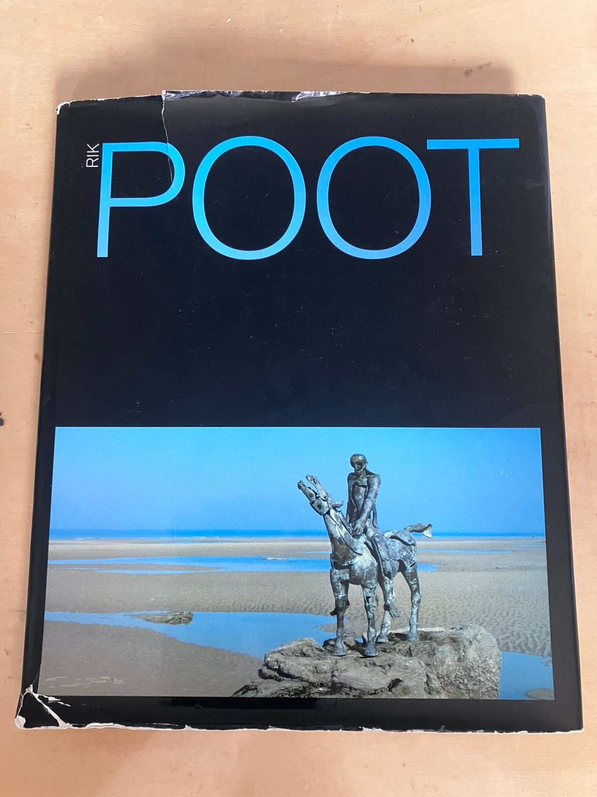 Rik Poot - mooi kunstboek, Ophalen of Verzenden, Zo goed als nieuw