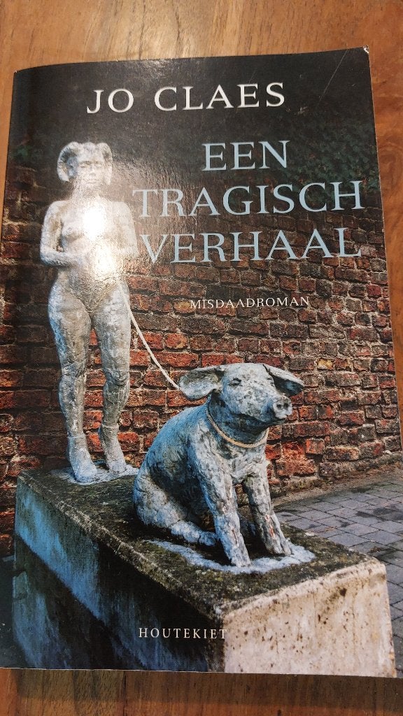 Een tragisch verhaal Jo Claes, Boeken, Ophalen of Verzenden, Zo goed als nieuw, Jo  claes