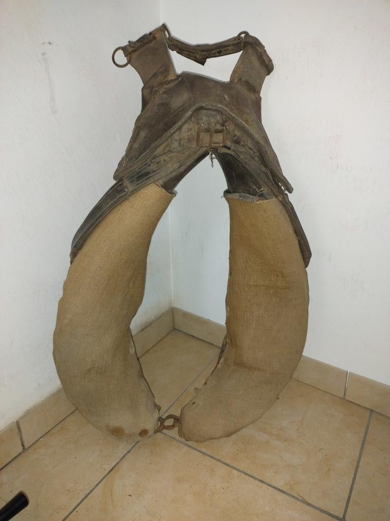 Collier de cheval de trait, Enlèvement