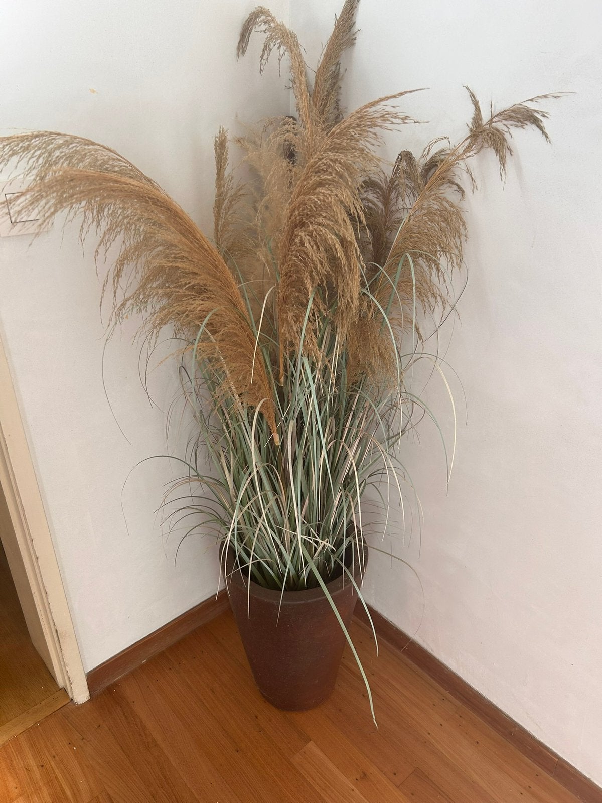 2 identieke zware bloempotten met pampas/kunstplanten, Ophalen, Zo goed als nieuw