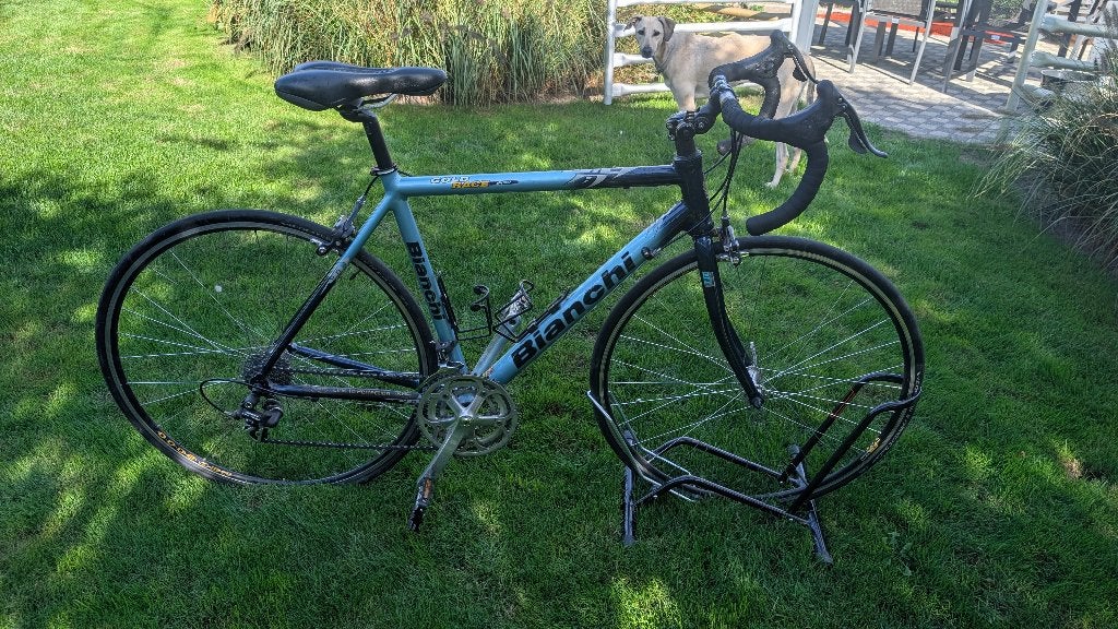 Bianchi Gold Race 600, Fietsen en Brommers, Ophalen, Gebruikt, Overige merken