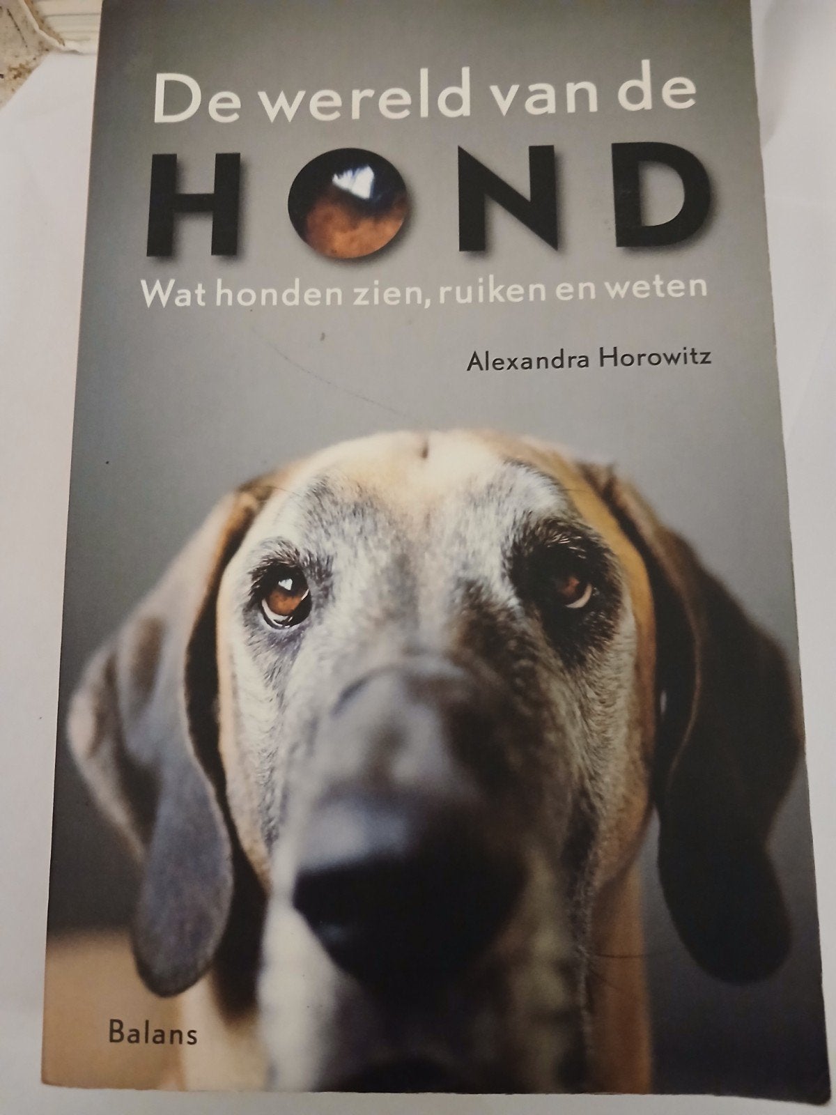 Alexandra Horowitz - De wereld van de hond, Enlèvement, Chiens, Alexandra Horowitz