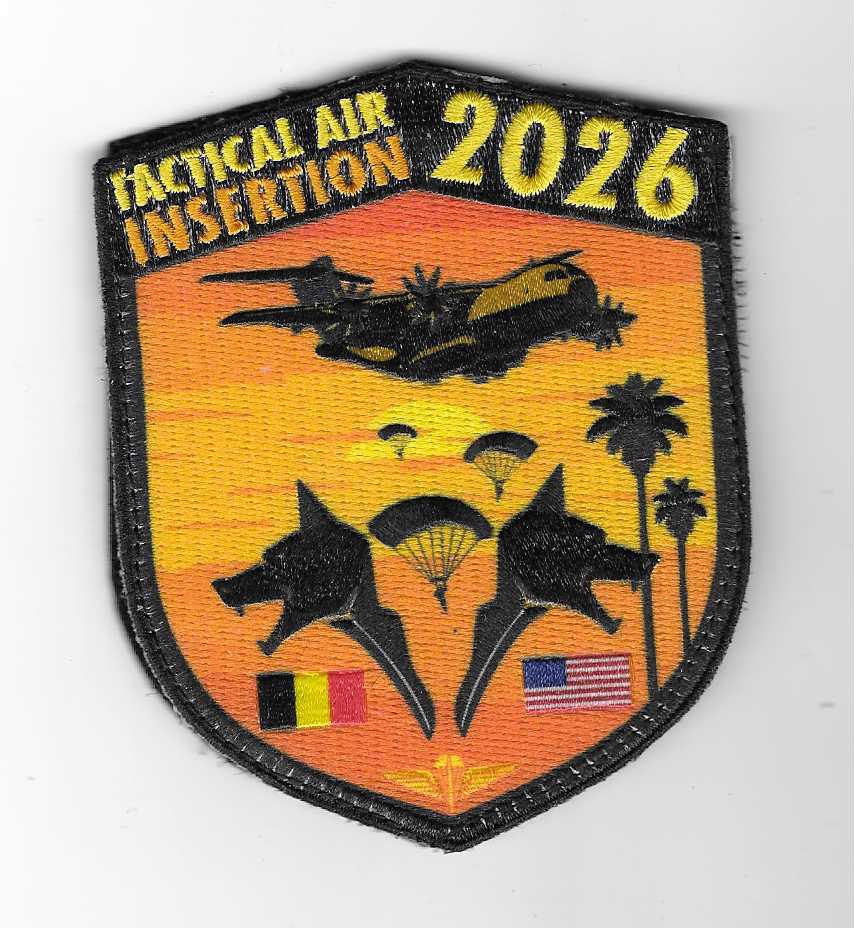 MILITARIA, Verzenden, Luchtmacht, Embleem of Badge