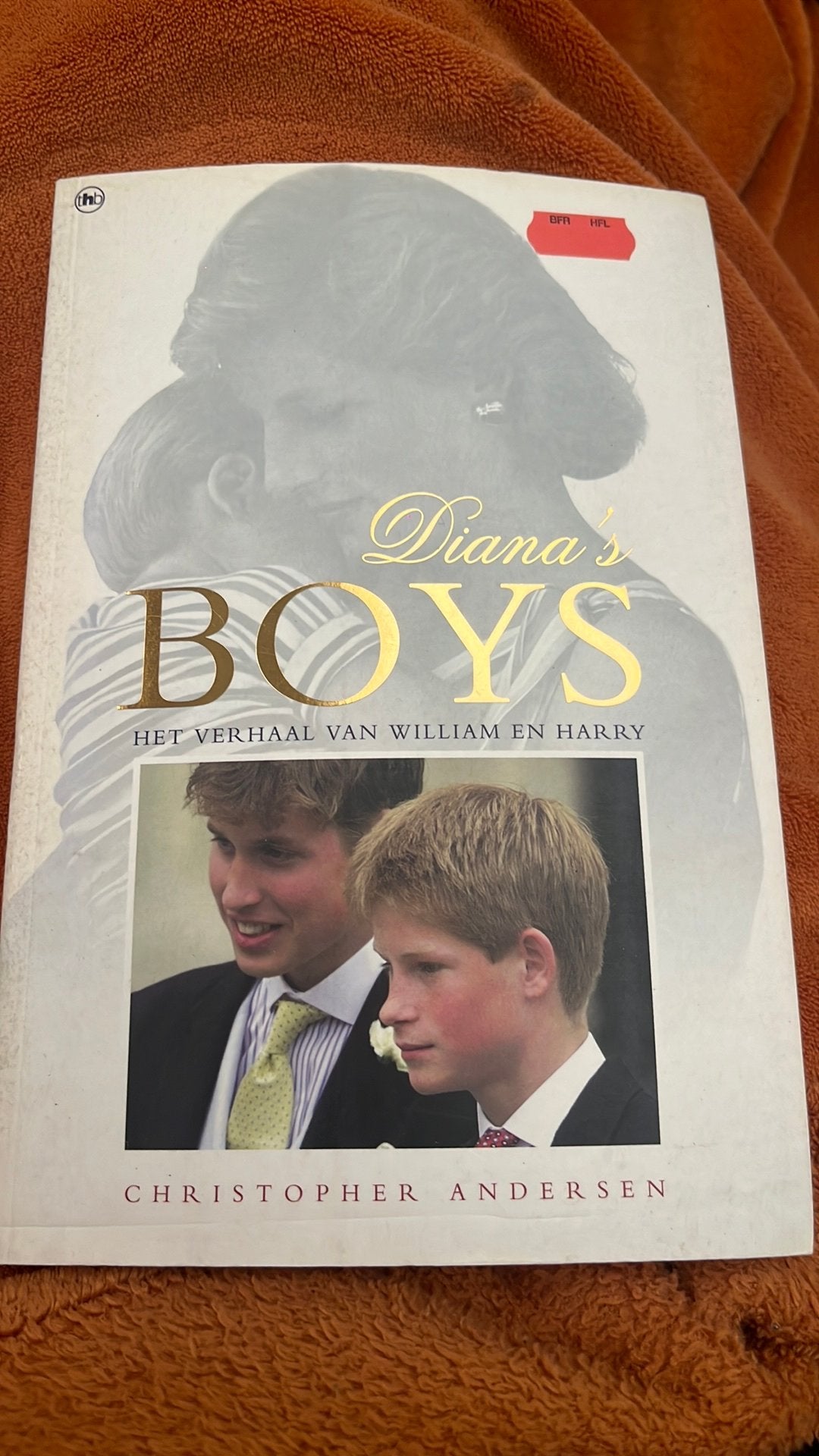 Boek Diana’s boys Christopher Andersen, Boeken, Ophalen of Verzenden, Zo goed als nieuw, Media