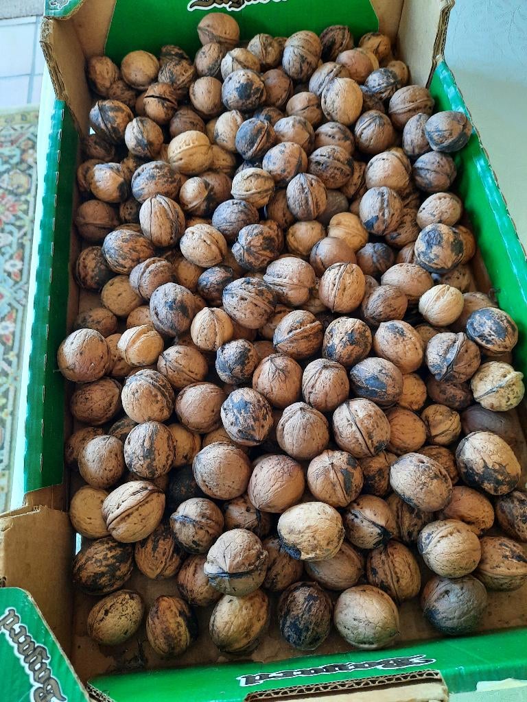 Walnoten te koop, Diversen, Levensmiddelen, Ophalen