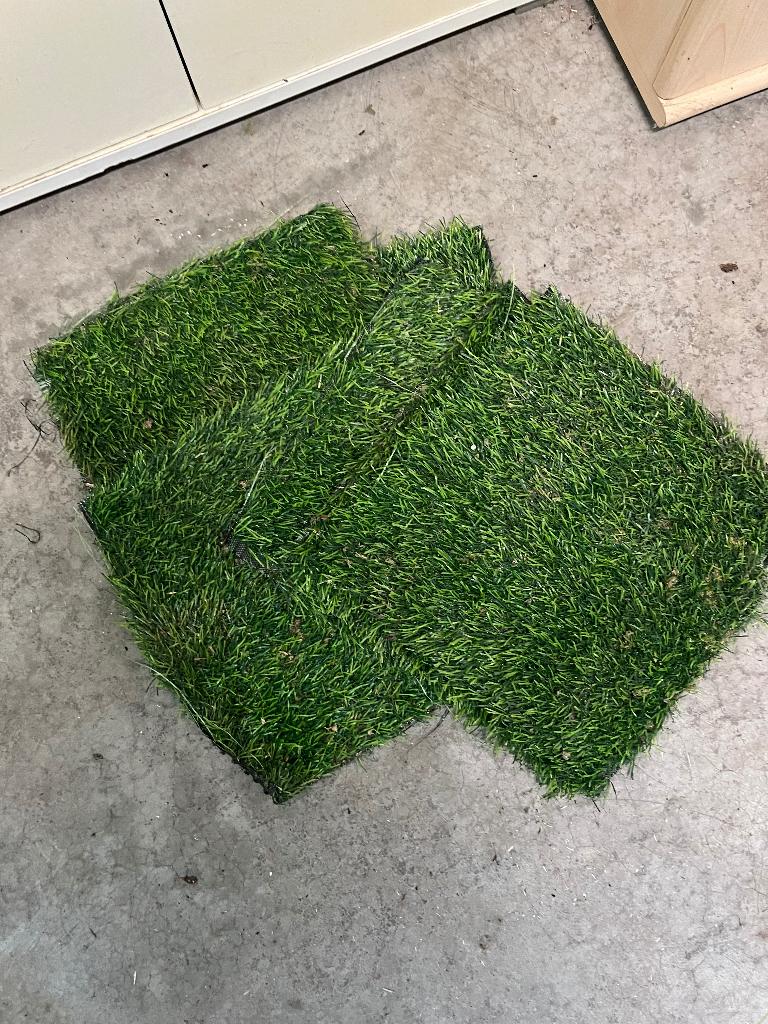 Alles voor de kippen, Dieren en Toebehoren, Pluimvee