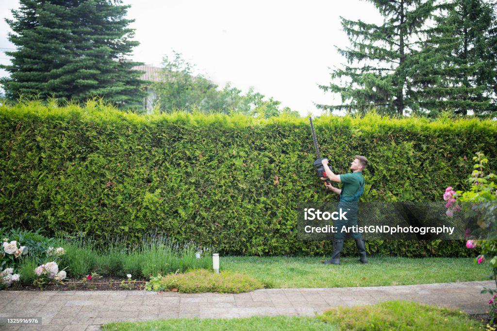 Besoin d’aide au jardin ?, Tuinonderhoud of Snoeiwerk
