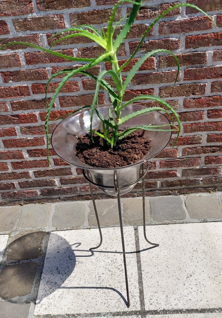plantenstaander, Ophalen, Zo goed als nieuw