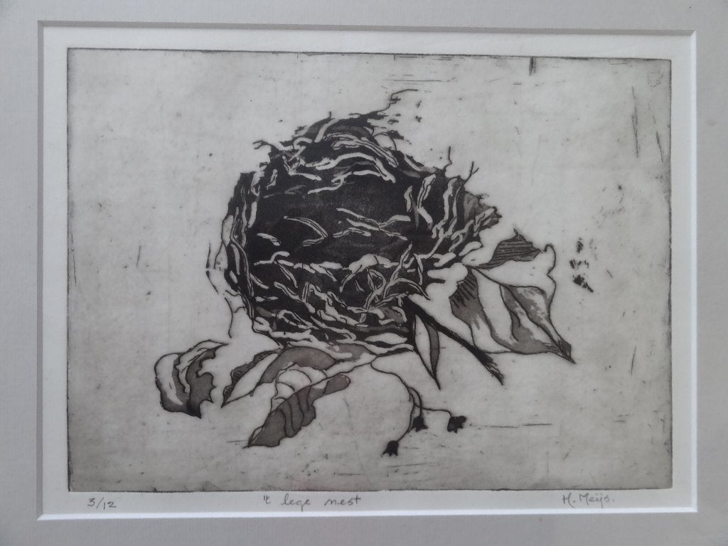 Ets met Aquatint " 't lege nest" nummer 3/12 , ingelijst, Ophalen of Verzenden, Met tekst, Flora en Fauna, 1950 - 1999