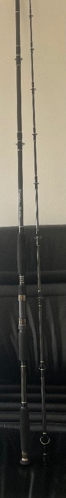 Meerval hengel 300g 3,2m, Ophalen of Verzenden, Gebruikt, Werphengel