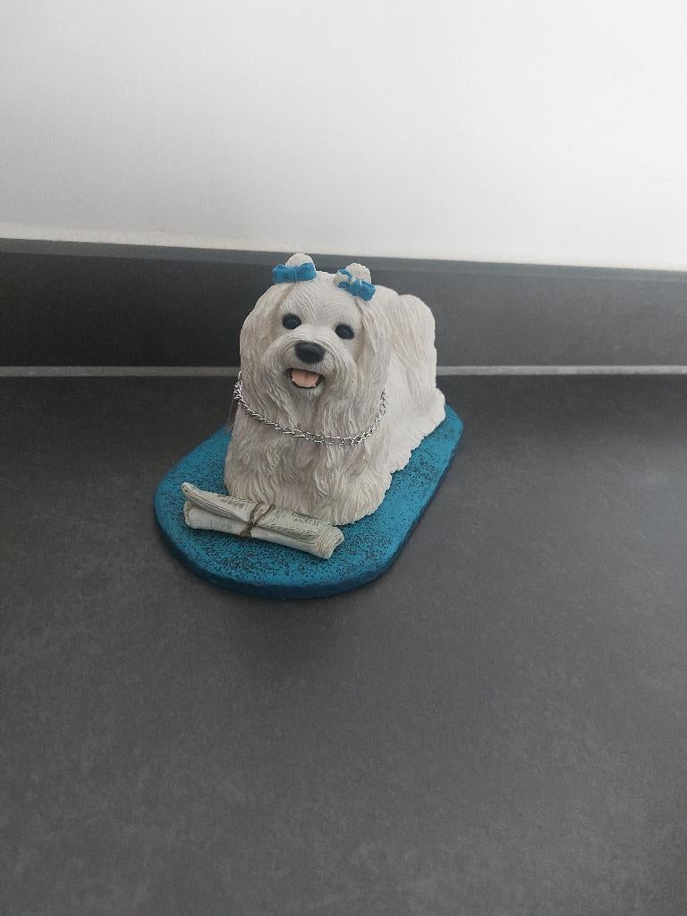 Beeld hond, Enlèvement ou Envoi, Utilisé, Animal