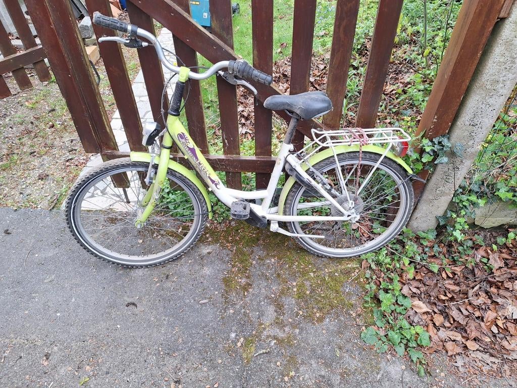 7 fietsen te koop, Enlèvement