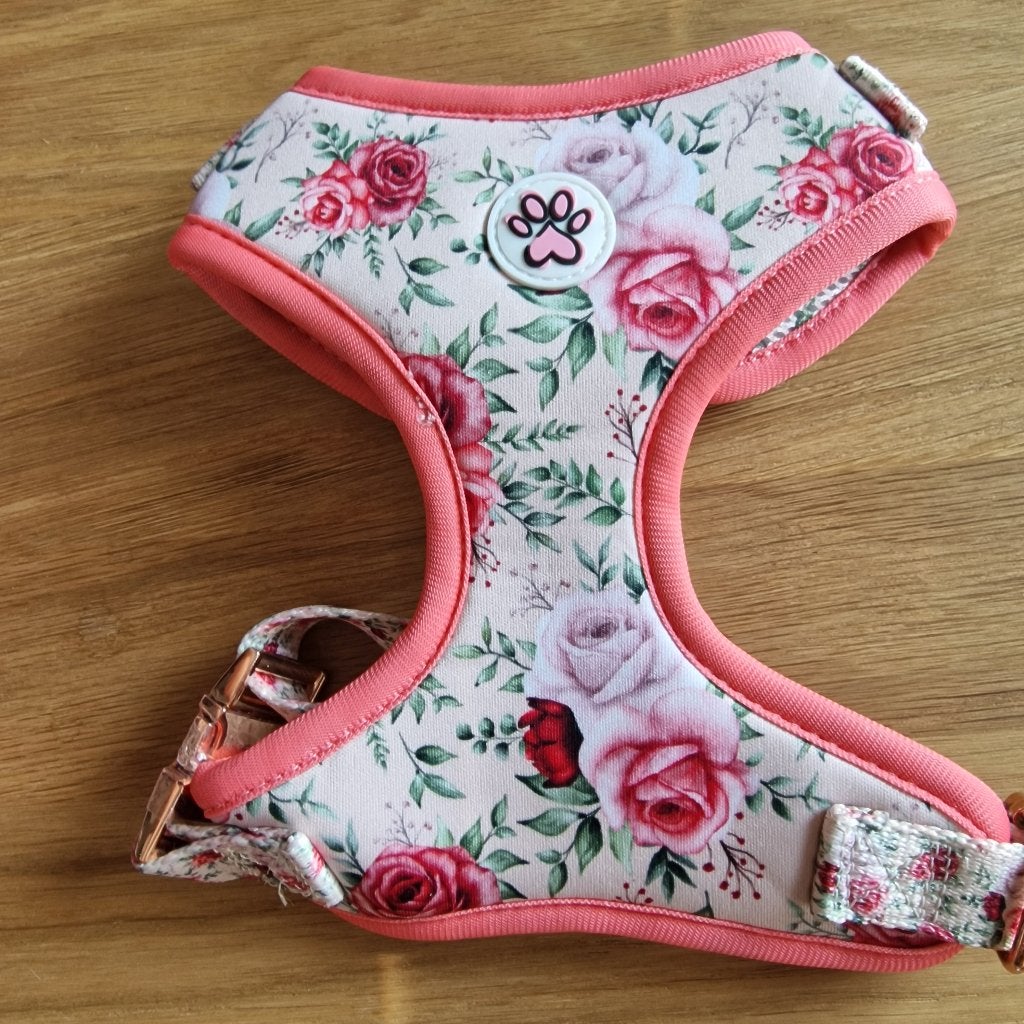 Harnas / Tuigje Paw My God! Rozen XS, Animaux & Accessoires, Laisses pour chiens, Enlèvement ou Envoi, Neuf
