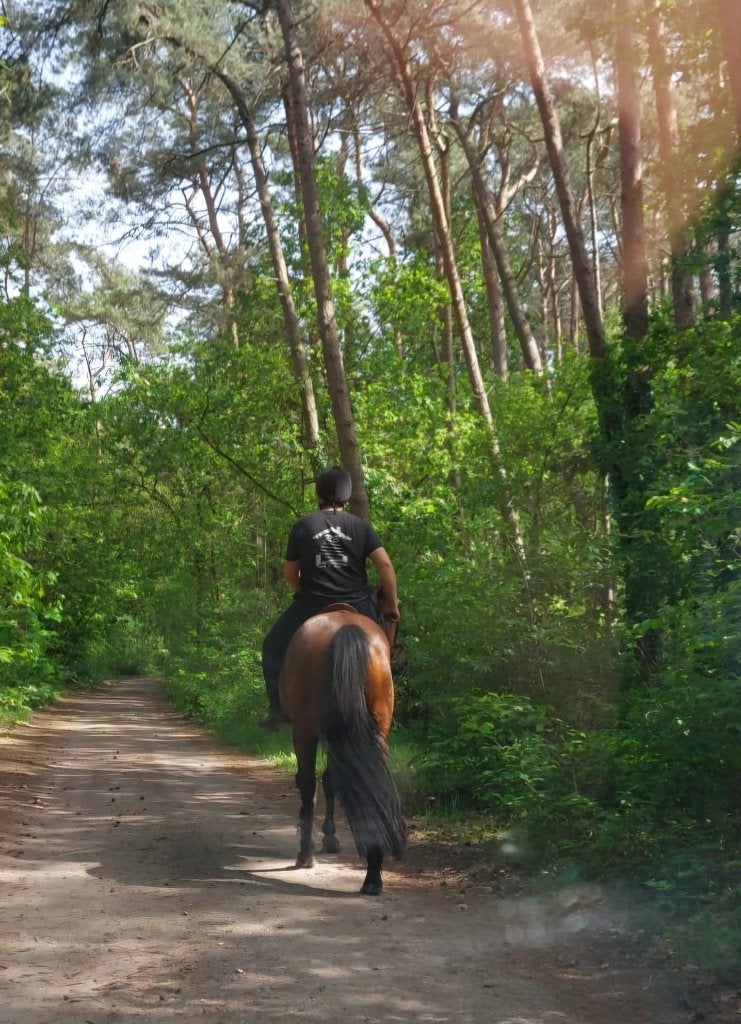 Lieve ruin, Dieren en Toebehoren, Ruin