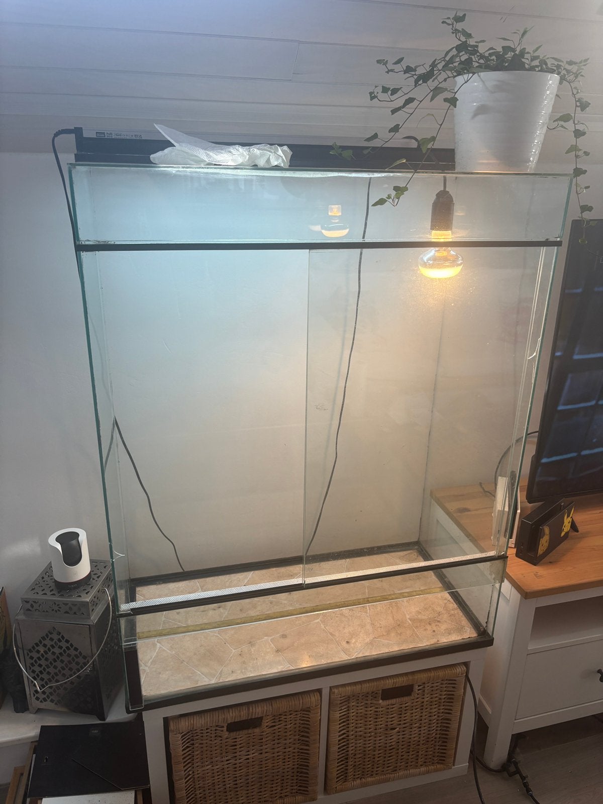 Terarrium kameleon, Animaux & Accessoires, Reptiles & Amphibiens | Accessoires, Enlèvement, Utilisé