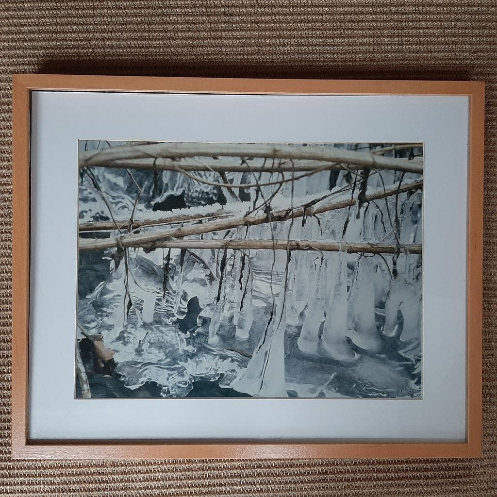 Schilderij foto natuur 3 stuks met kader, Ophalen, Gebruikt, Schilderij, Minder dan 50 cm