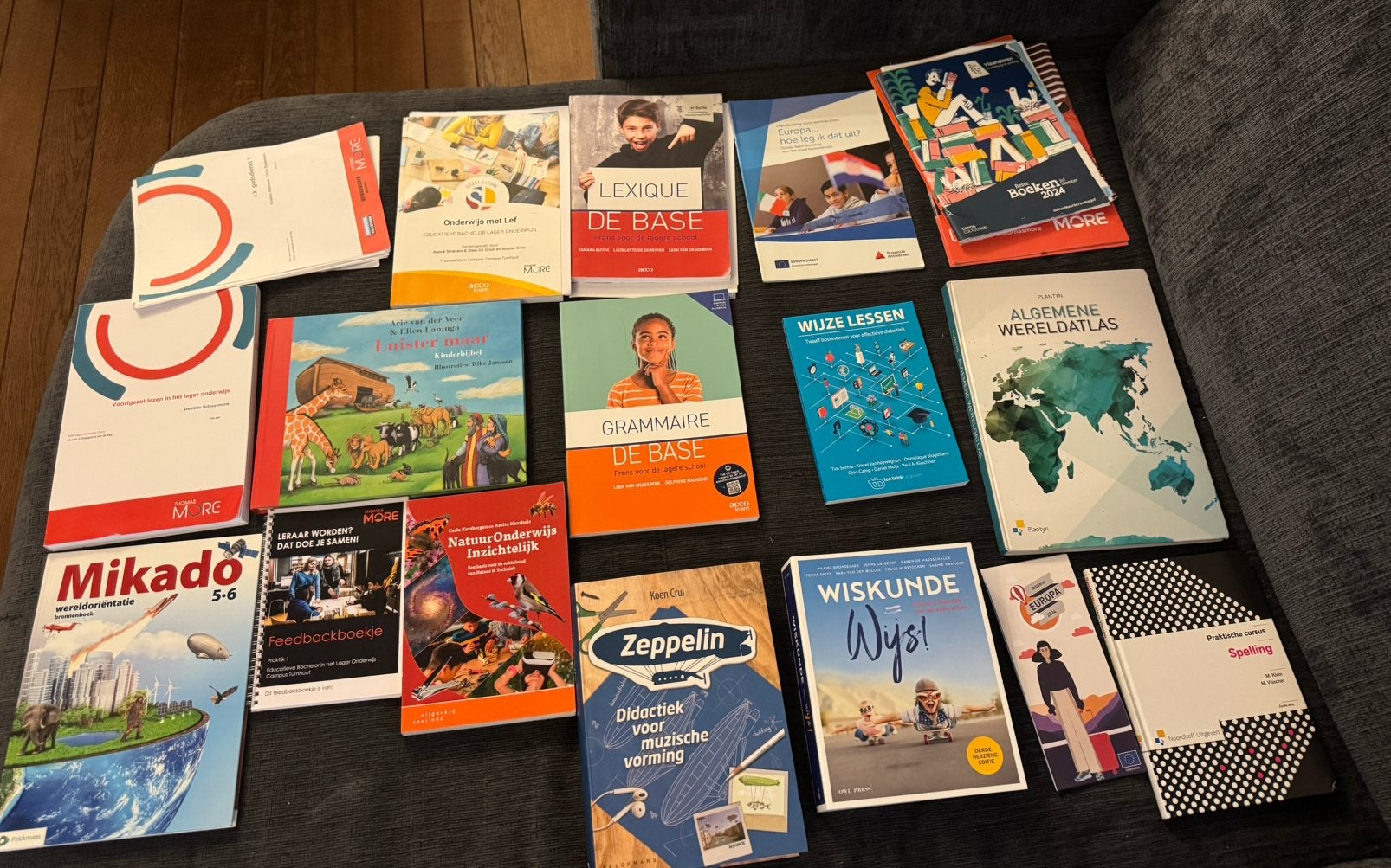 Studieboeken 1 Bachelor Lager Onderwijs (Thomas More), Ophalen of Verzenden, Zo goed als nieuw