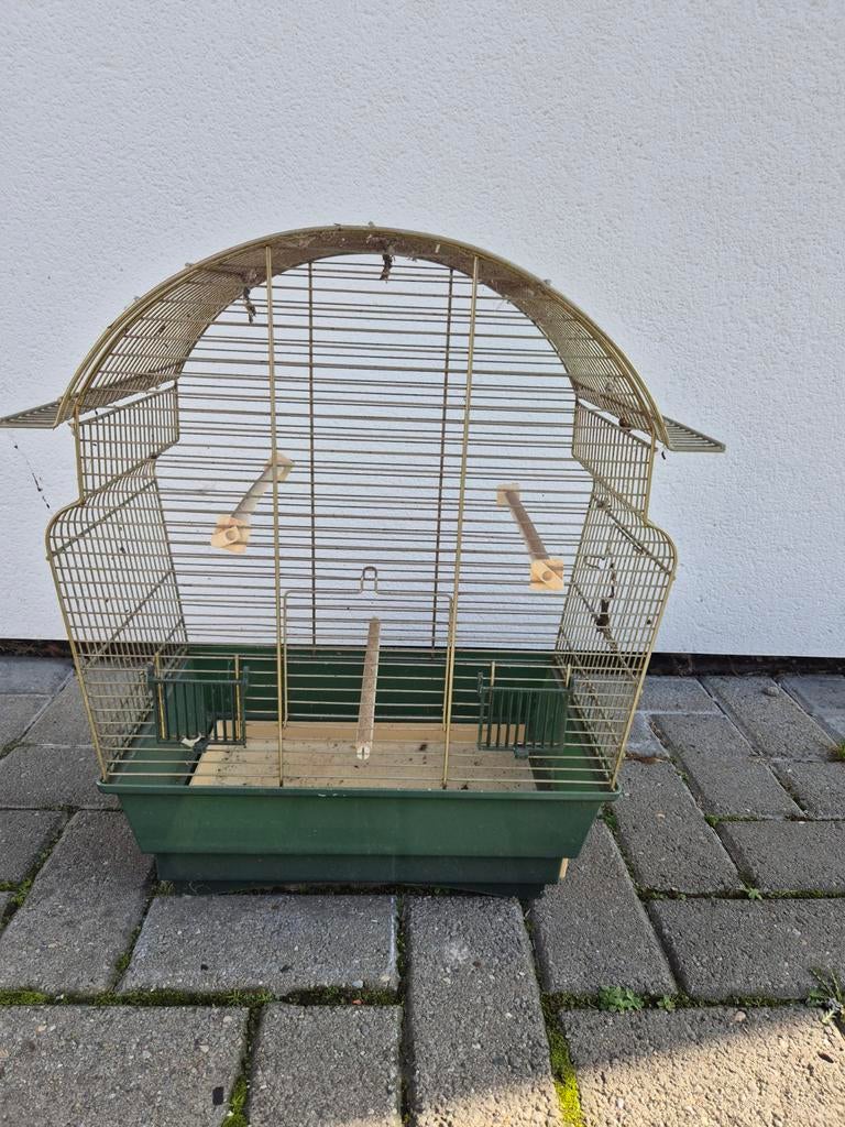 Cage à canaris