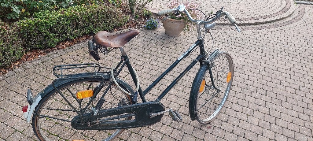 Raleigh damesfiets, Ophalen, Gebruikt, Velgrem, Overige merken