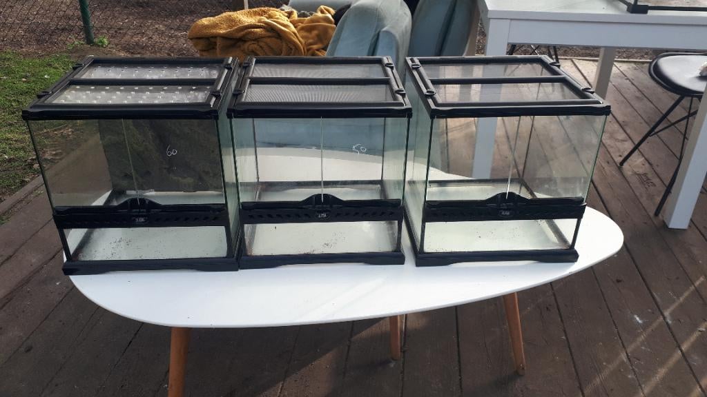 Exo terra 30x30x30 (NOG 1) terrarium, Dieren en Toebehoren, Ophalen, Nieuw, Terrarium of Paludarium