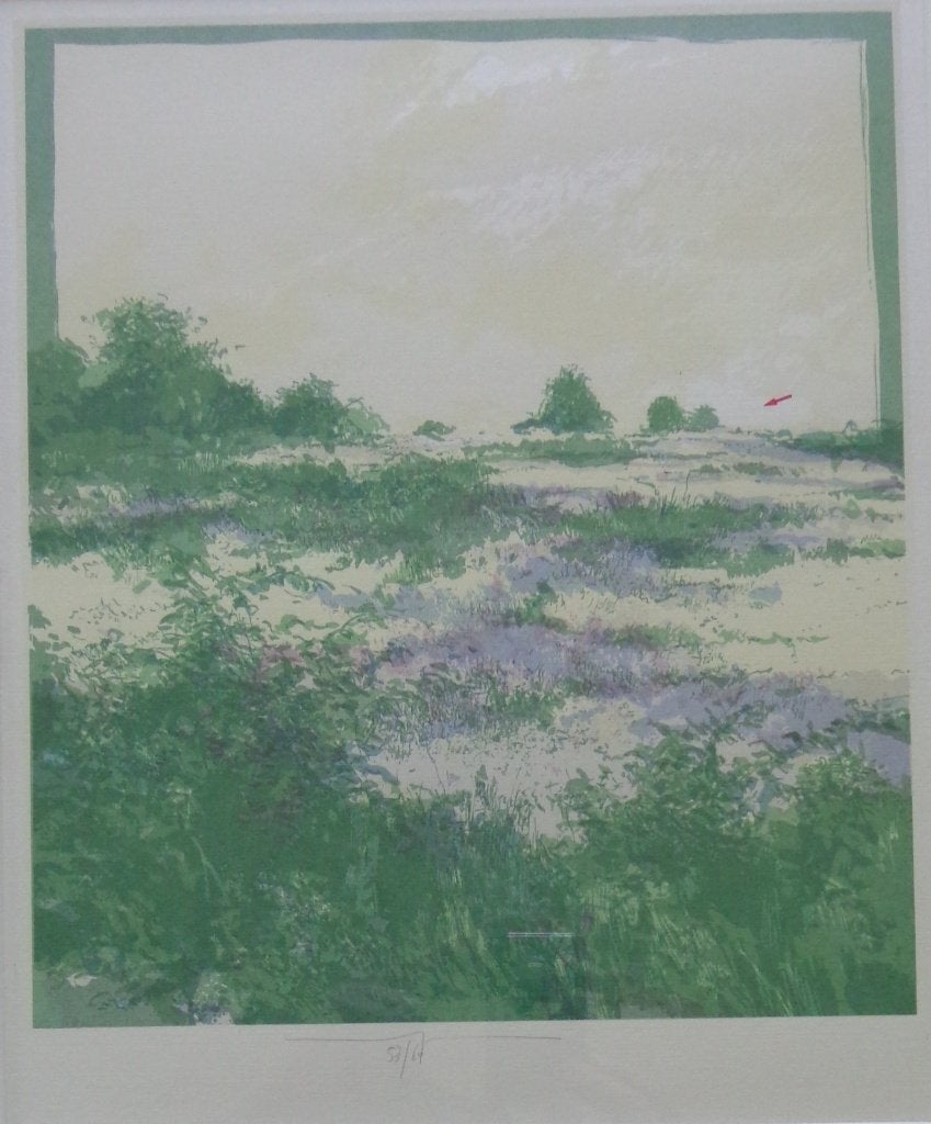 MARTIN R. BAEYENS / HEIDE / KLEURLITHO / 52x42cm / KADER SIG, Antiek en Kunst, Gesigneerd, Ophalen of Verzenden