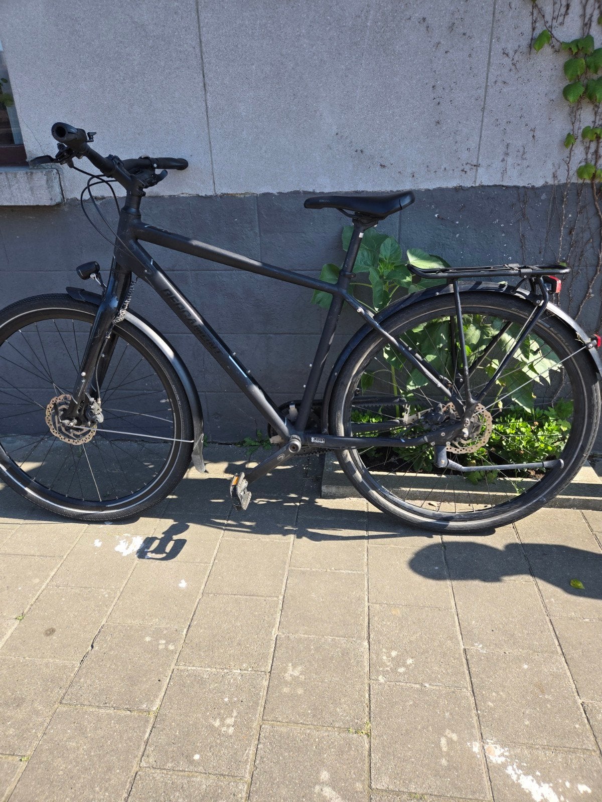Herenfiets BERGAMONT, Fietsen en Brommers, Ophalen