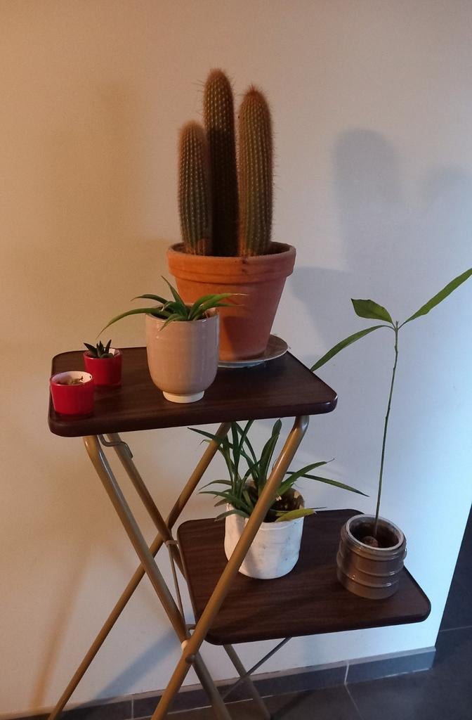 Table de projection/table d'appoint -> 30€, Enlèvement, Comme neuf, Vintage