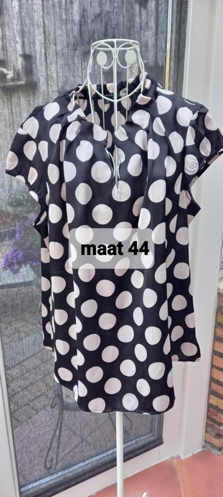 Prachtige bloesjes., Kleding | Dames, T-shirts, Ophalen of Verzenden