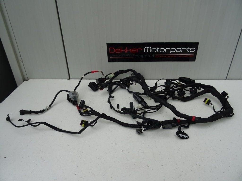 Complete Kabelboom / Wiring Harness Ducati Diavel 2011-2012, Motos, -, Utilisé, -, -