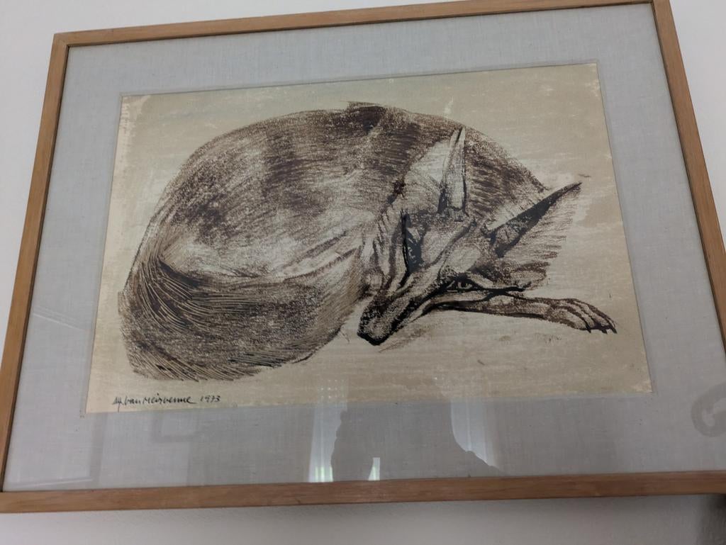 Mooie tekening, slapende vos, door A. Van Meirvenne, Ophalen