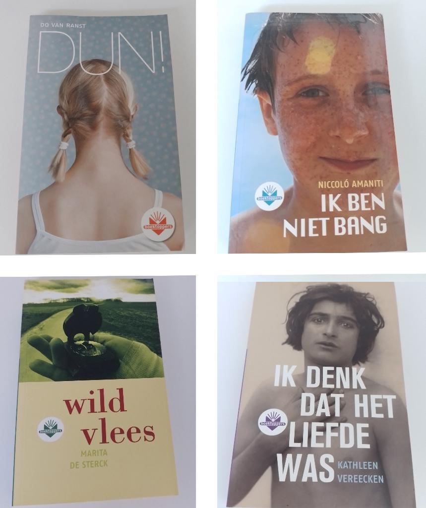 Sikkel chatroom Duinkerken Gulliver gelukvinder Matrix Ludi, Boeken, Ophalen of Verzenden