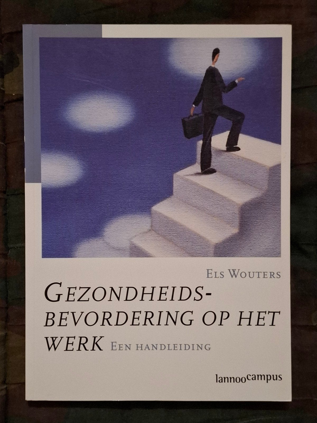 E. Wouters - Gezondheidsbevordering op het werk, Ophalen of Verzenden, E. Wouters