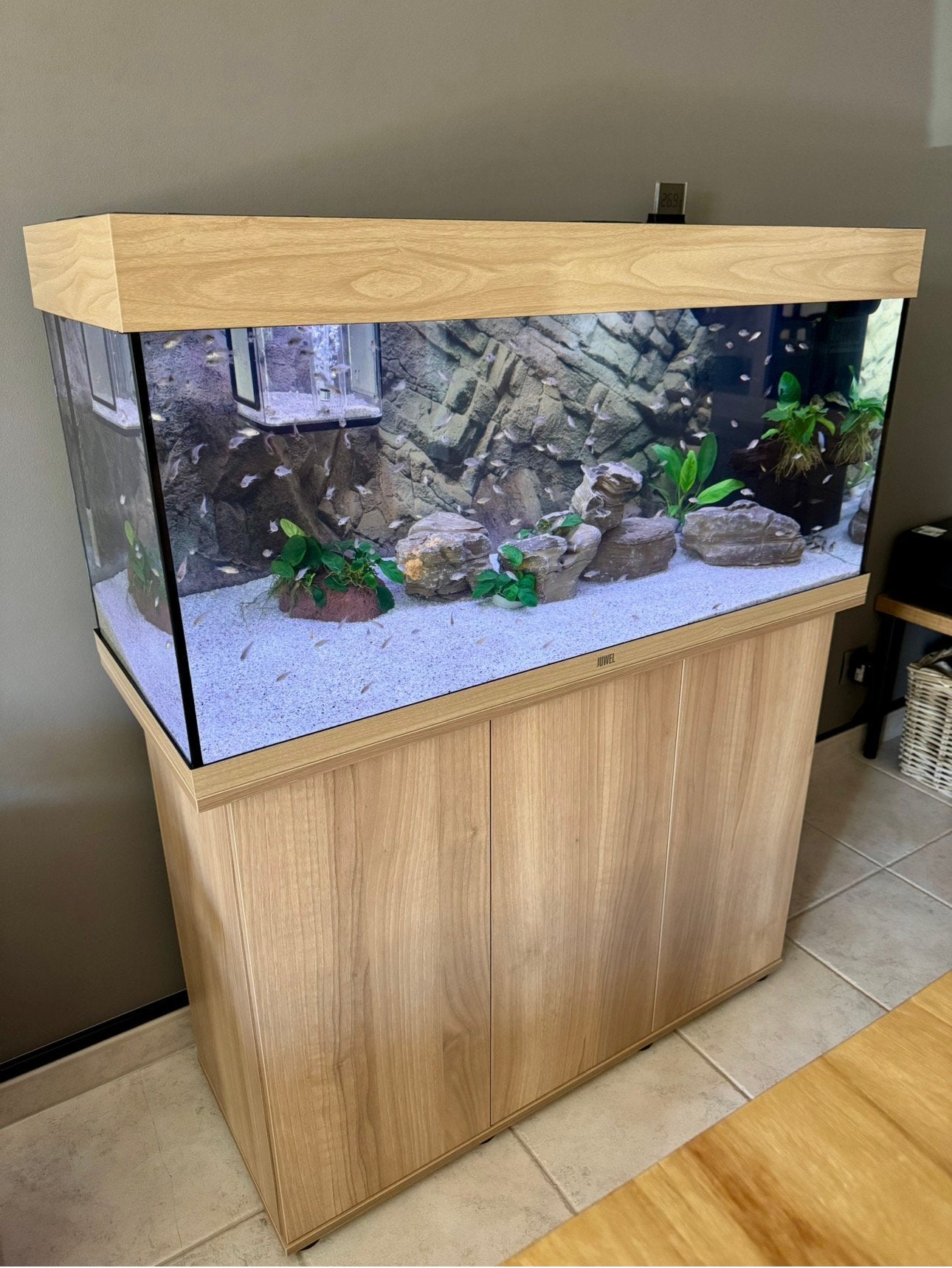Juwel Rio 180 +Helialux Spectrum Appcontrol+JBL e902+extra’s, Animaux & Accessoires, Poissons | Aquariums & Accessoires, Comme neuf