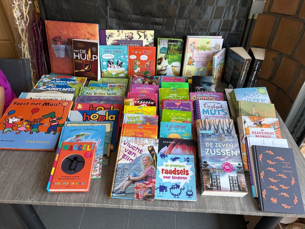 Boeken, Boeken, Kinderboeken | Jeugd | 13 jaar en ouder, Ophalen, Zo goed als nieuw, Fictie