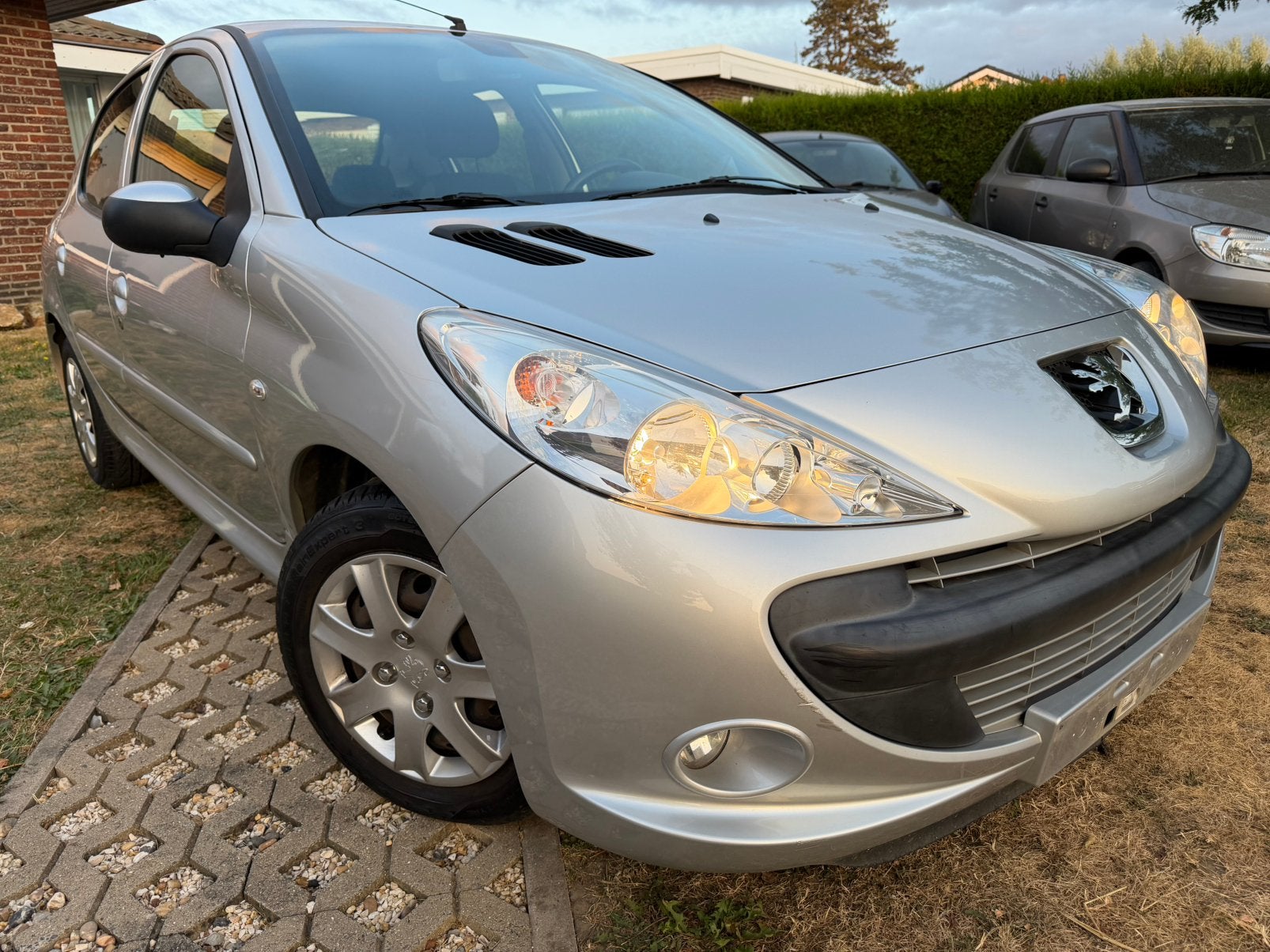 Peugeot 206, Autos, Achat, Entreprise, Diesel