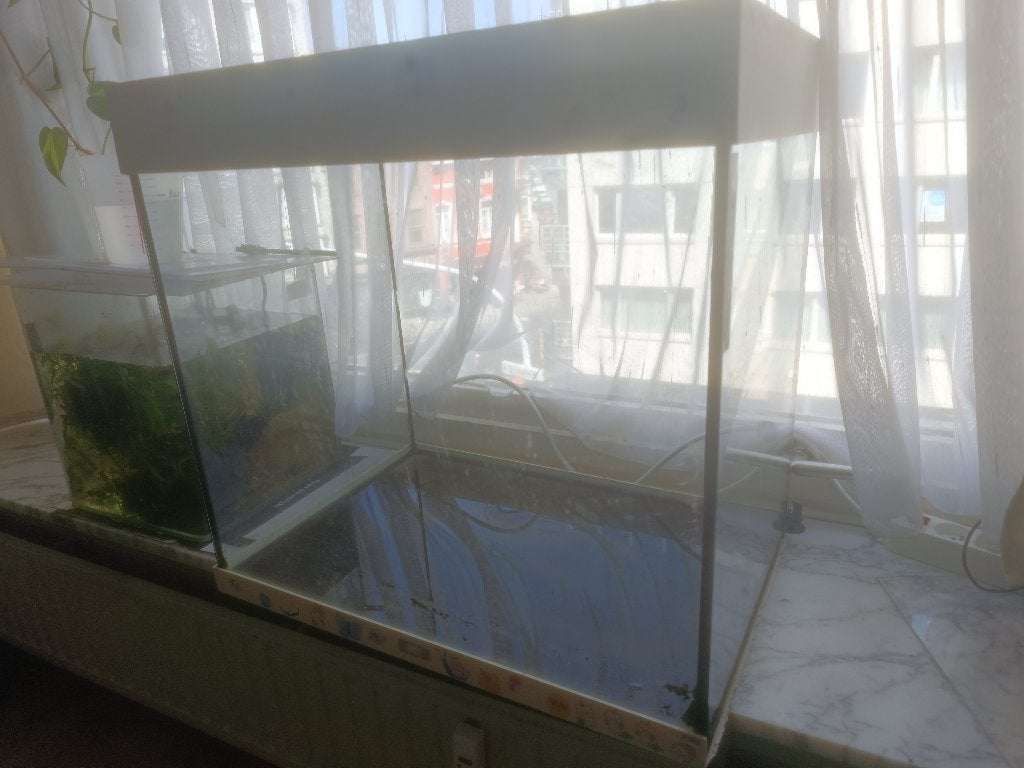 Aquarium gratuit 60*60*40, Enlèvement