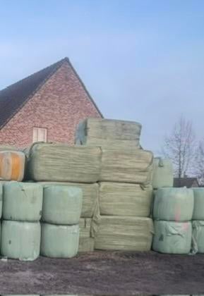 Hooi / voordroog, Ophalen