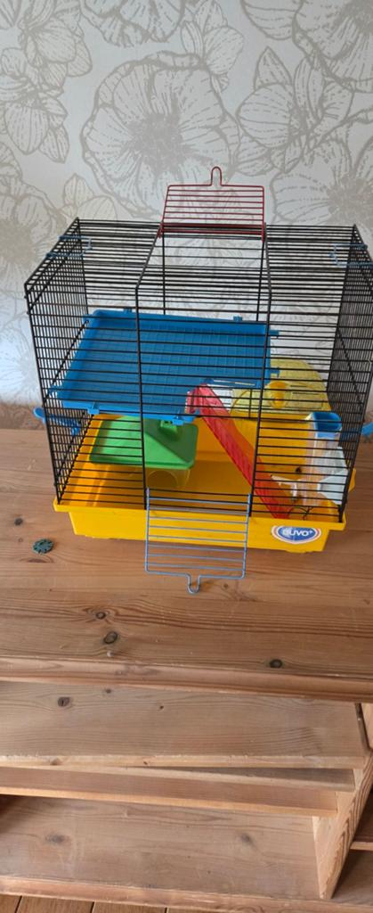 Hamster kooi, Dieren en Toebehoren, Ophalen, Kooi, Hamster