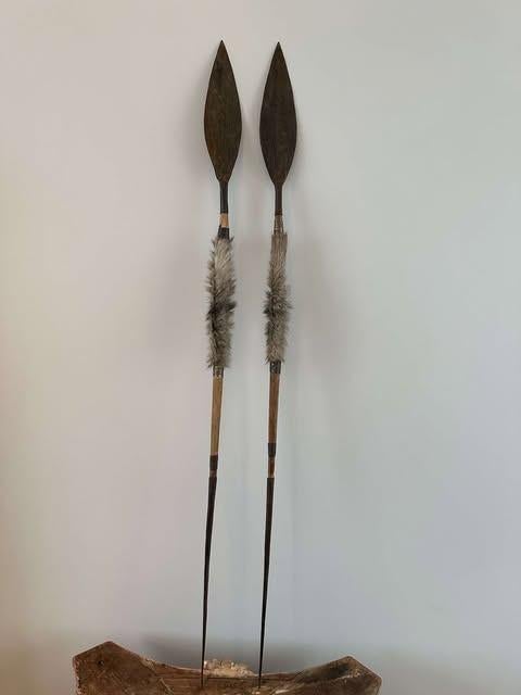 Afrikaanse Werp speer duo, Ophalen