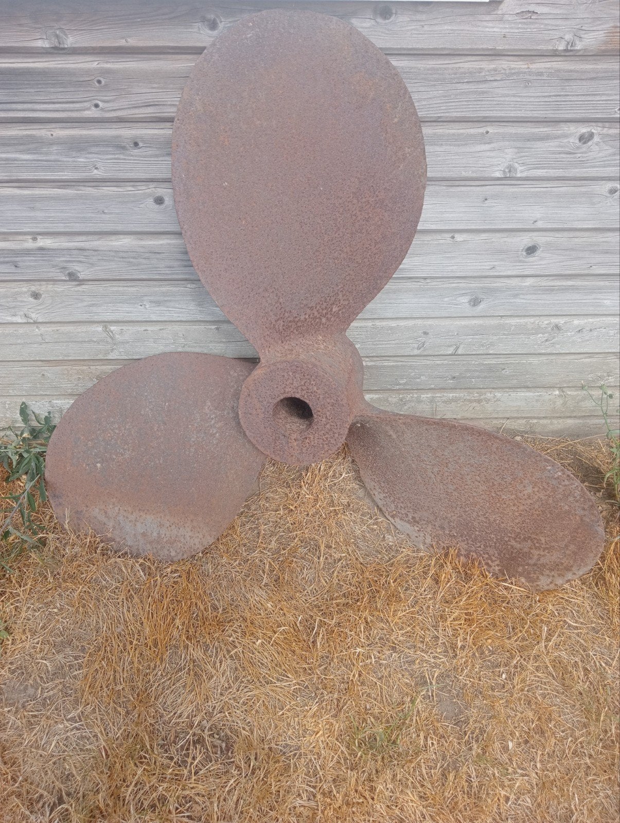 Oude scheeps schroef, Ophalen