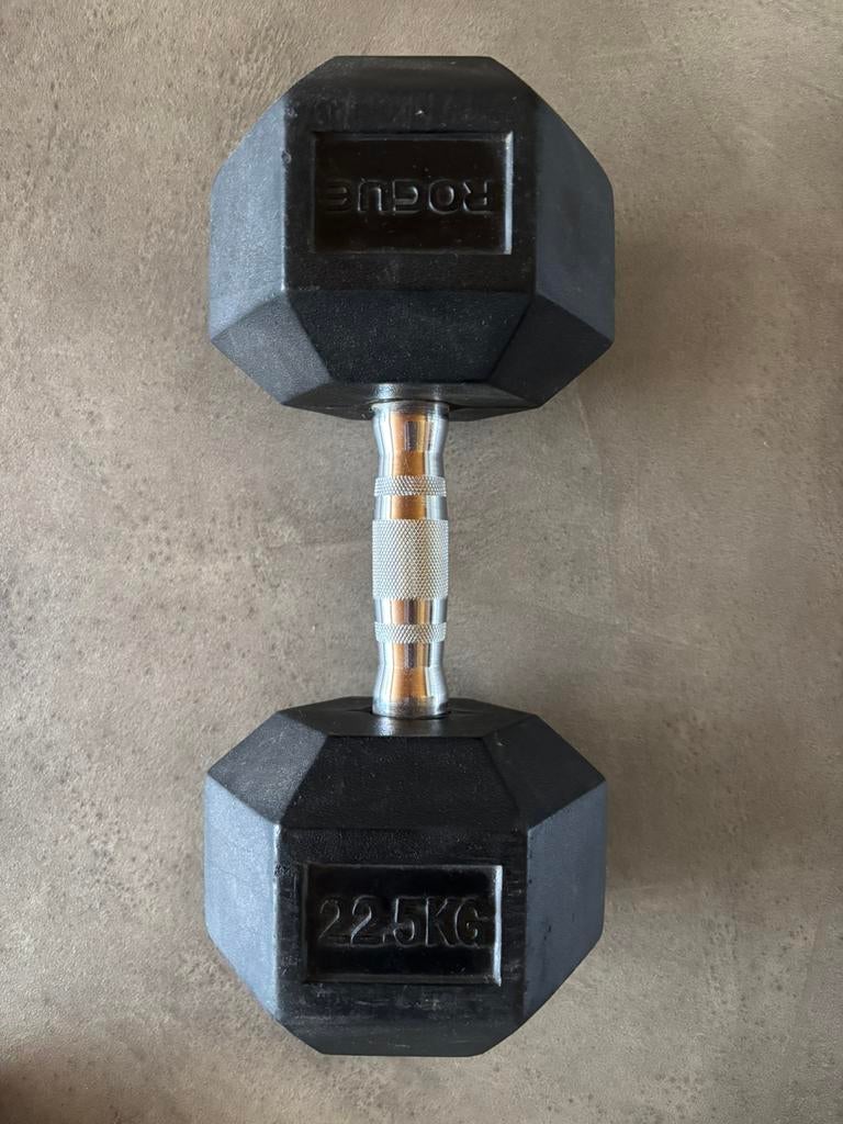Dumbell 22.5 kg, Sport en Fitness, Ophalen, Zo goed als nieuw