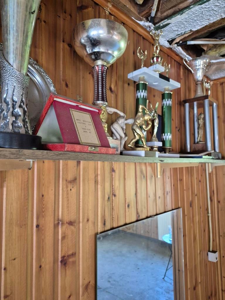 Trophée de musculation., Jardin & Terrasse, Abris de jardin