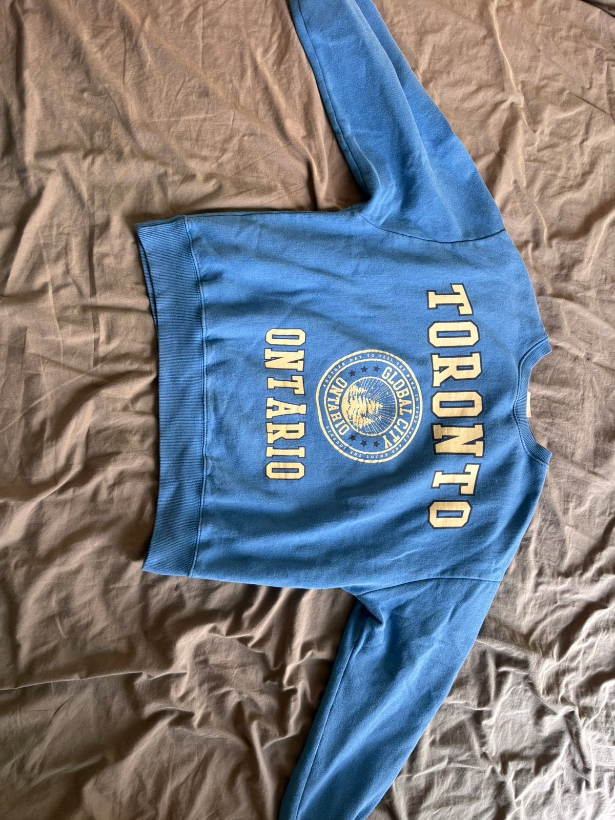 Pull bleu, Vêtements | Femmes, Pulls & Gilets, Enlèvement ou Envoi, Porté, Taille 38/40 (M), Bleu